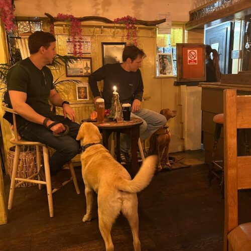 WhatsApp Image 2025-11-13 at 12.00.06