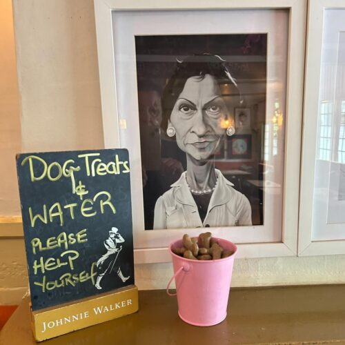 WhatsApp Image 2025-11-13 at 12.00.08