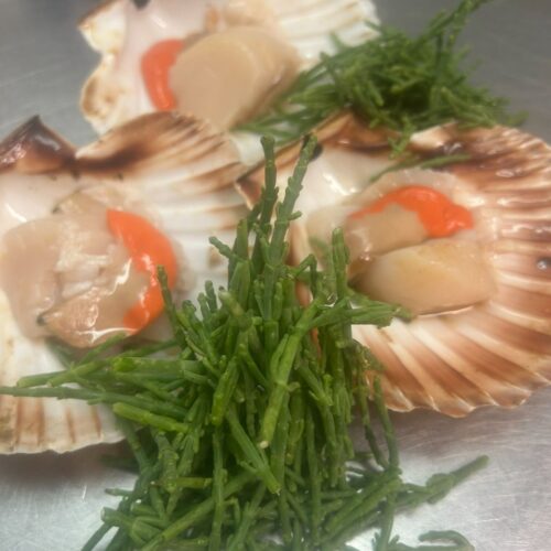 WhatsApp Image 2025-11-13 at 12.07.33